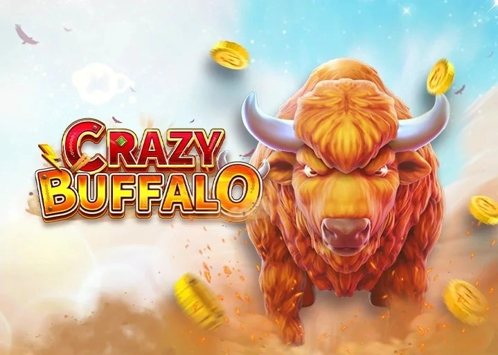 Crazy Buffalo