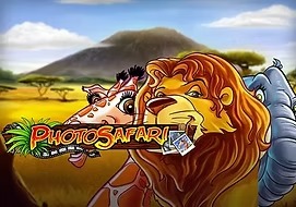 Photo Safari
